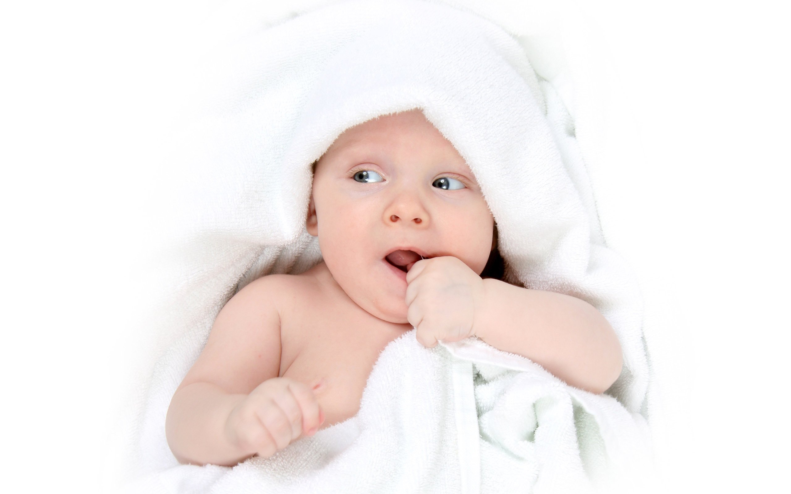 保定供卵代怀供精试管婴儿成功率高吗
